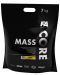 Core Mass, ванилия, 7 kg, FA Nutrition - 1t