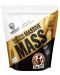 Massive Mass, шоколадов рай, 7 kg, Swedish Supplements - 1t