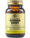 Ginger Root, 100 растителни капсули, Solgar - 1t