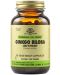 Ginkgo Biloba Leaf Extract, 60 растителни капсули, Solgar - 1t