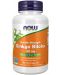 Ginkgo Biloba, 120 mg, Double Strength, 100 капсули, Now - 1t