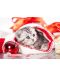 Пъзел Grafika от 1000 части - Коледно котенце, Юлия Куланьонак - 1t
