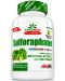 GreenDay Sulforaphane, 90 капсули, Amix - 1t