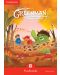 Greenman and the Magic Forest B Flashcards (Pack of 48) - 1t