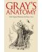 Grays Anatomy (Slipcase edition) - 1t
