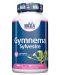 Gymnema Sylvestre, 400 mg, 60 капсули, Haya Labs - 1t