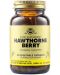 Hawthorne Berry, 100 растителни капсули, Solgar - 1t