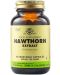 Hawthorn Extract, 60 растителни капсули, Solgar - 1t