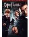 Хари Потър и Орденът на Феникса (DVD) - 1t