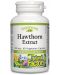 Herbal Factors Hawthorn Extract, 60 капсули, Natural Factors - 1t