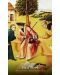 Hieronymus Bosch Tarot (78-Card Deck and Guidebook) - 6t