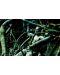 Хищникът 3D (Blu-Ray) - 4t