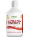 Ginseng Energy, 500 ml, Swedish Nutra - 1t