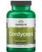 Cordyceps, 600 mg, 120 капсули, Swanson - 1t