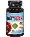 Natto Max, 160 mg, 40 капсули, Cvetita Herbal - 1t