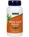 Olive Leaf Extract, 500 mg, 60 растителни капсули, Now - 1t