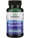 Adrenal Essentials, 60 растителни капсули, Swanson - 1t