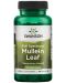Full Spectrum Mullein Leaf, 500 mg, 60 капсули, Swanson - 1t
