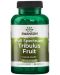 Full Spectrum Tribulus Fruit, 500 mg, 90 капсули, Swanson - 1t