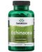 Echinacea, 400 mg, 100 капсули, Swanson - 1t