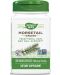 Horsetail Grass, 440 mg, 100 капсули, Nature's Way - 1t