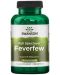 Full Spectrum Feverfew, 380 mg, 100 капсули, Swanson - 1t