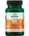 Vitamin B6 Pyridoxine, 100 mg, 100 капсули, Swanson - 1t