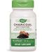 Charcoal Activated, 280 mg, 100 капсули, Nature's Way - 1t