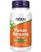 Panax Ginseng, 500 mg, 100 капсули, Now - 1t