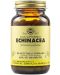 Echinacea, 100 растителни капсули, Solgar - 1t