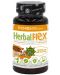 Herbal Flex, 300 mg, 80 капсули, Cvetita Herbal - 1t