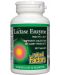 Lactase Enzyme, 250 mg, 60 капсули, Natural Factors - 1t