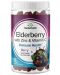 Elderberry with Zinc & Vitamin C, 60 дъвчащи таблетки, Swanson - 1t