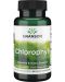 Chlorophyll, 50 mg, 90 растителни капсули, Swanson - 1t