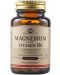 Magnesium with Vitamin B6, 100 таблетки, Solgar - 1t