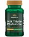 Milk Thistle Phytosome, 300 mg, 60 капсули, Swanson - 1t