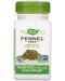 Fennel seed, 480 mg, 100 капсули, Nature's Way - 1t