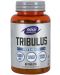 Sports Tribulus, 1000 mg, 90 таблетки, Now - 1t