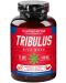 Tribulus with Maca, 700 mg, 50 капсули, Cvetita Herbal - 1t