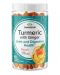 Turmeric with Ginger, праскова, 60 дъвчащи таблетки, Swanson - 1t