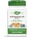 Astragalus Root, 470 mg, 100 капсули, Nature’s Way - 1t