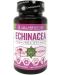 Echinacea, 400 mg, 60 капсули, Cvetita Herbal - 1t