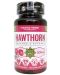 Hawthorn, 300 mg, 60 капсули, Cvetita Herbal - 1t