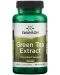 Green Tea Extract, 500 mg, 60 капсули, Swanson - 1t