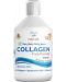 Fish Collagen, 10 000 mg, 500 ml, Swedish Nutra - 1t