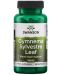 Gymnema Sylvestre Leaf, 100 капсули, Swanson - 1t