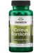 Coleus Forskohlii, 400 mg, 60 капсули, Swanson - 1t