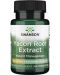 Yacon Root Extract, 100 mg, 90 капсули, Swanson - 1t