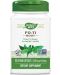 Fo-Ti Root, 610 mg, 100 капсули, Nature's Way - 1t