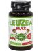 Leuzea Max, 200 mg, 60 таблетки, Cvetita Herbal - 1t